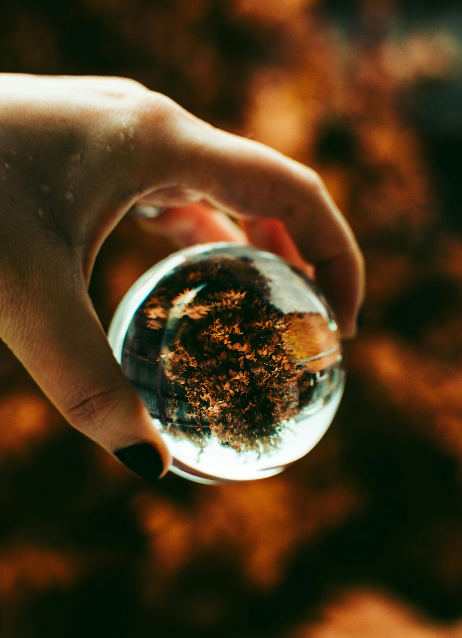 A hand holding a lensball capturing a reversed fall landscape with vivid colors.
